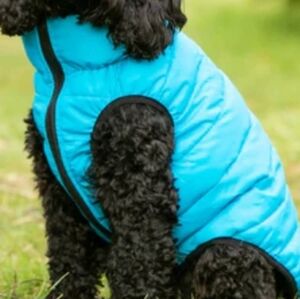 Like New. Aqua Dog Vest with Black Trim.